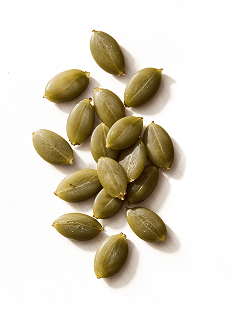 Pumpkin Seed Extract