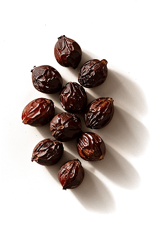 Saw Palmetto