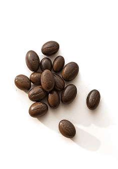 Saw Palmetto