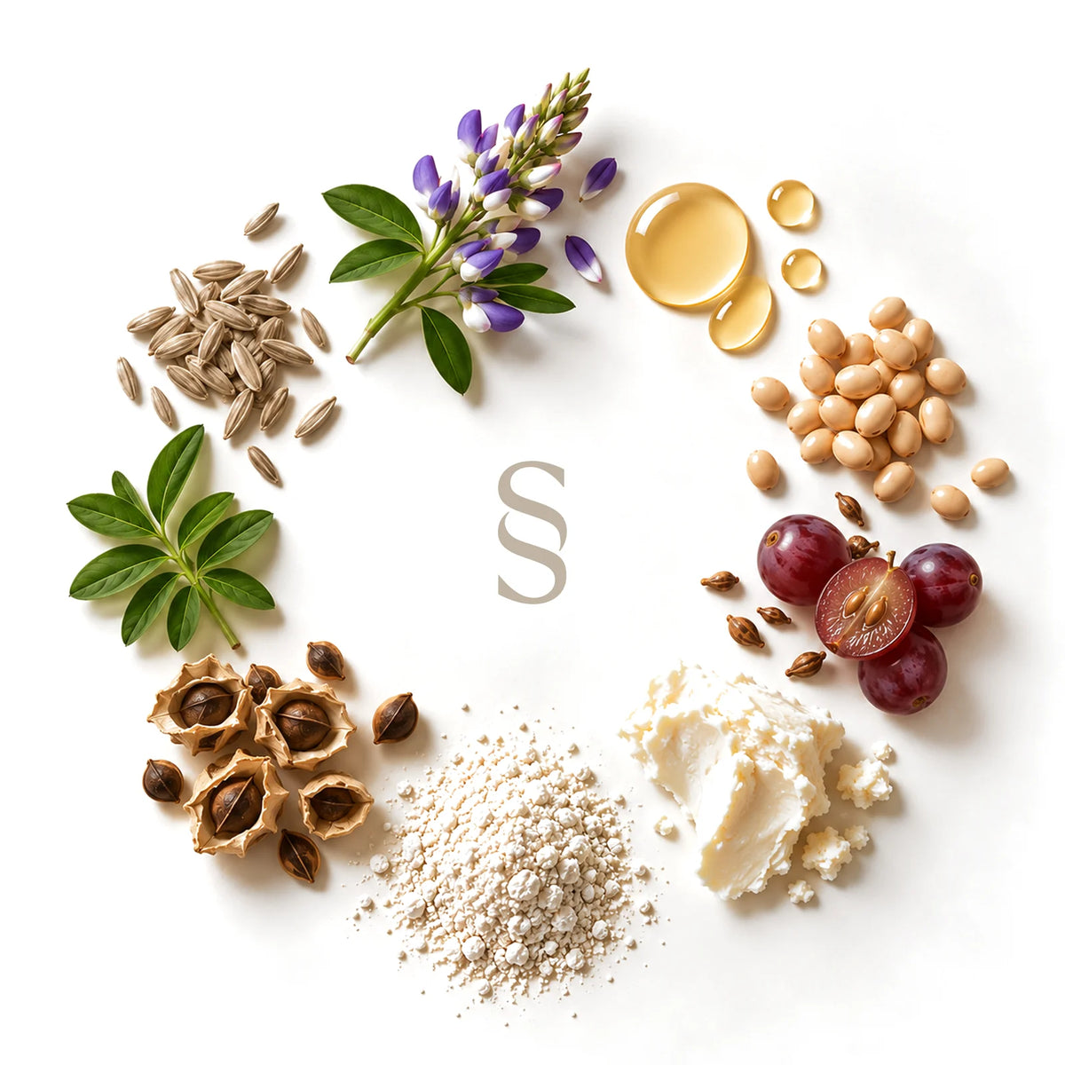 Wreath of nine botanical ingredients around the Xtressé double-S insignia.