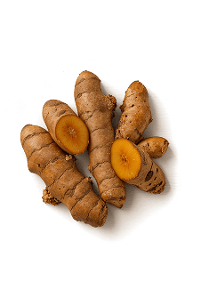 Turmeric Extract
