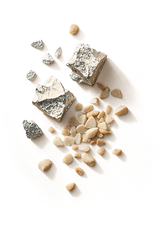 Zinc Thymulin